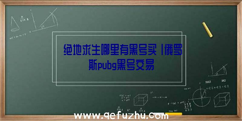 「绝地求生哪里有黑号买」|俄罗斯pubg黑号交易